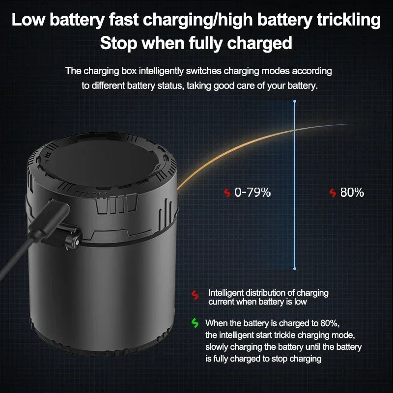 Smart  Battery Charger Suitable for 1.5V Lithium Ion Battery